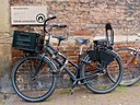 Local transportation