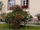 Flower cart at St. Peter's Abbey
