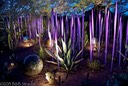 Chihuli Enchantment