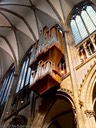 Dom organ pipes