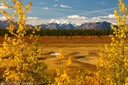 Denali