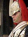 Horse Guard