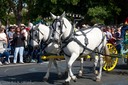 Matched Mules
